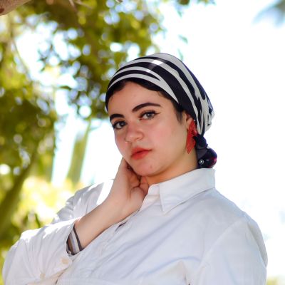 زيبرا صغير- شيفون 