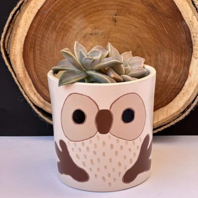 اصيص البومة