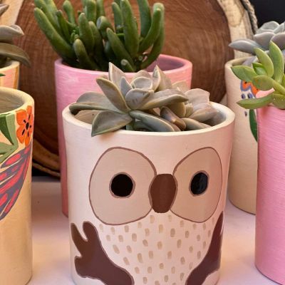 اصيص البومة