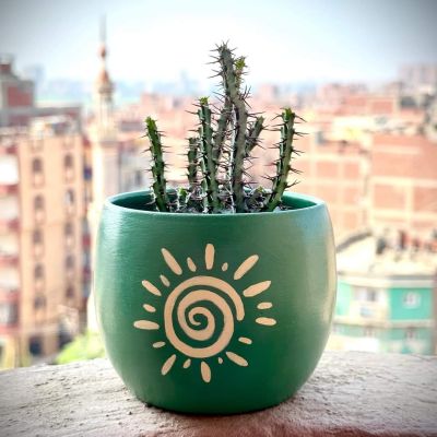 اصيص زرع عصري 