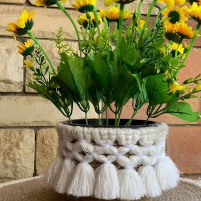 بوت زرع بوهو 