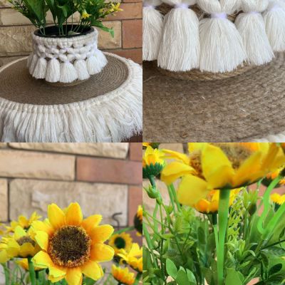 بوت زرع بوهو 