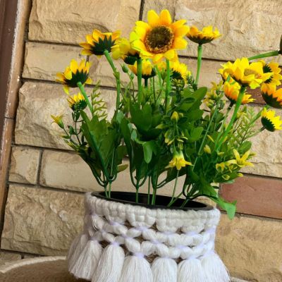 بوت زرع بوهو 