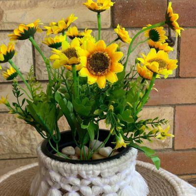 بوت زرع بوهو 