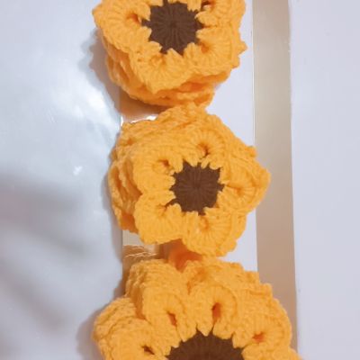 كوسترات زهره دوار الشمس 