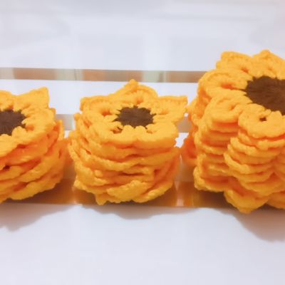 كوسترات زهره دوار الشمس 