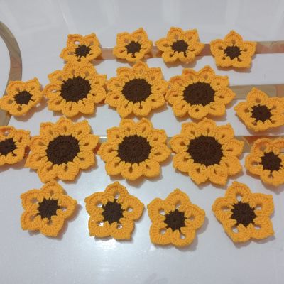 كوسترات زهره دوار الشمس 