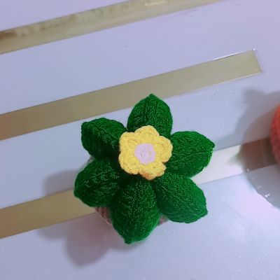 Cactus made of crochet 