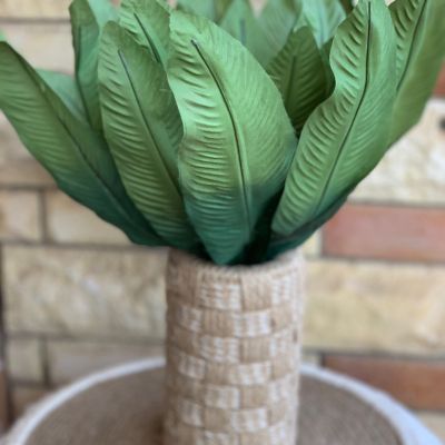  بوت زرع بوهو 