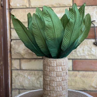  بوت زرع بوهو 