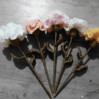 Carnations of crochet 