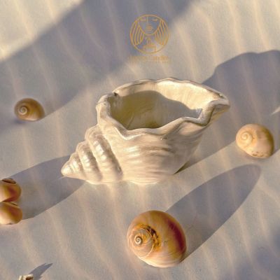 قطعة ديكورصدفة بحر صغيرة 