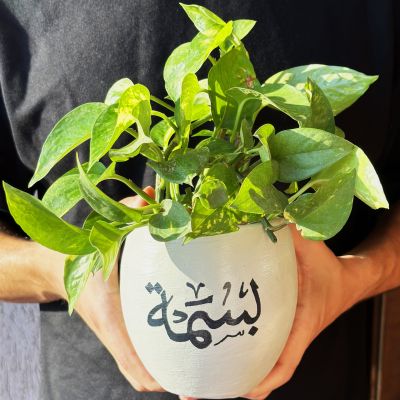 A plant pot with your name and tree leafs