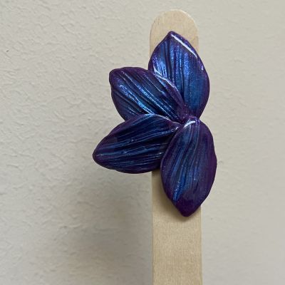 حلق ماندولين 💜