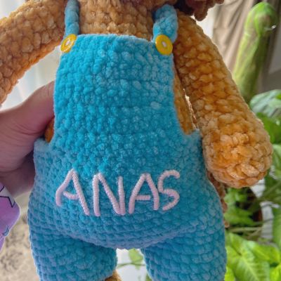 أسد اميجرومي 