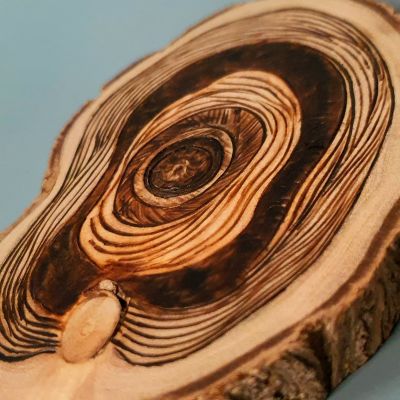 حرق يدوي حر على جذع شجر