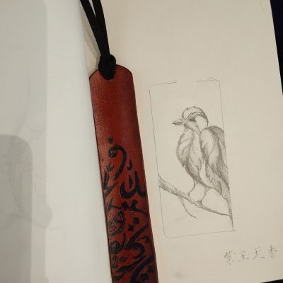 (فاصل كتاب ( بني