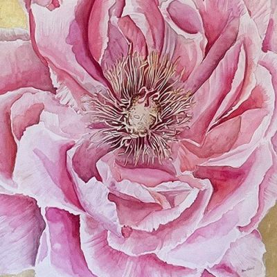 Peony gold Framed painting