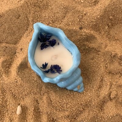 seashell candle