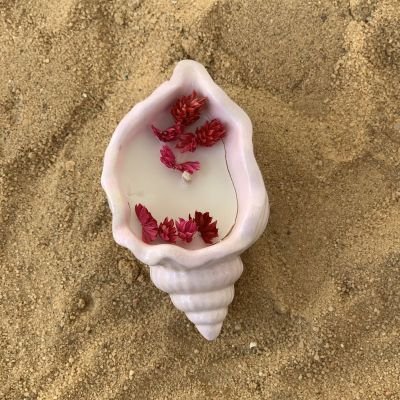 seashell candle
