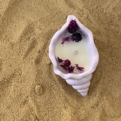 seashell candle