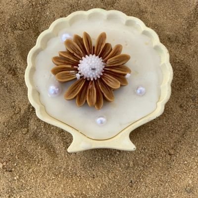 seashell candle