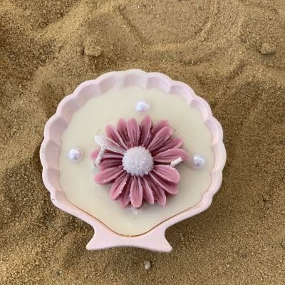 seashell candle