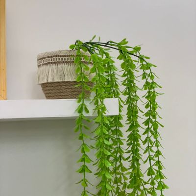 شلال الزرع الأخضر 