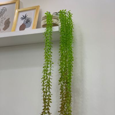 شلال الزرع الأخضر 