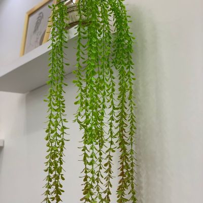 شلال الزرع الأخضر 