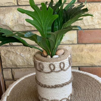 بوت زرع على شكل رول 