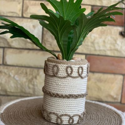 بوت زرع على شكل رول 