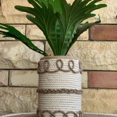 بوت زرع على شكل رول 