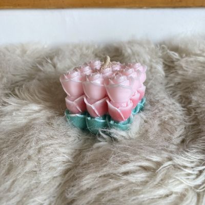 شمعة الورود