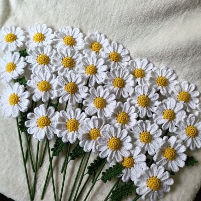 بوكيه زهره الاقحوان