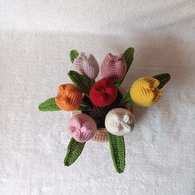 فازه ورد تيوليب ملونه