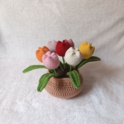 فازه ورد تيوليب ملونه