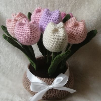 فازه ورد تيوليب ملونه