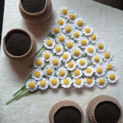 فازه ورد أقحوان