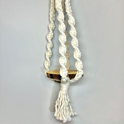 تعليقه زرع صغيره