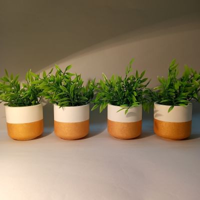  بوت زرع  عصري يساعد علي إضفاء المظهر الجمالي لمنزلك