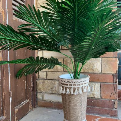 بوت زرع بوهو 