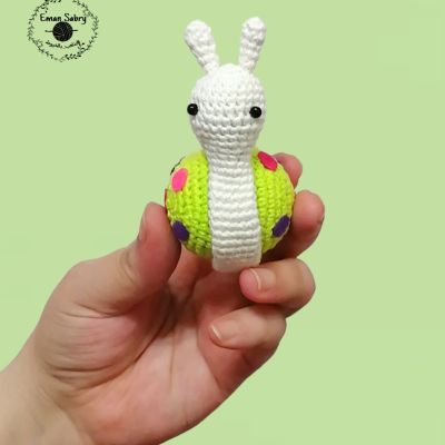 حلزون أميجرومي 