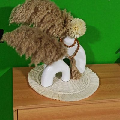 كوسترات ديكور