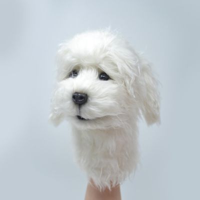 دمية يد كلب  المالتيز