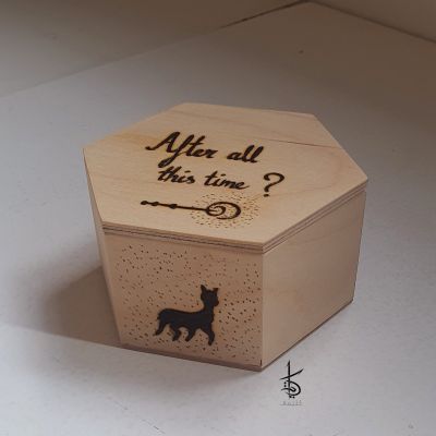 After all this time? - Hand-Burned Wooden Box