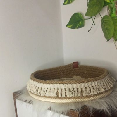 منظم تسريحه 