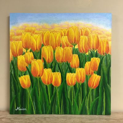 Yellow Tulip 