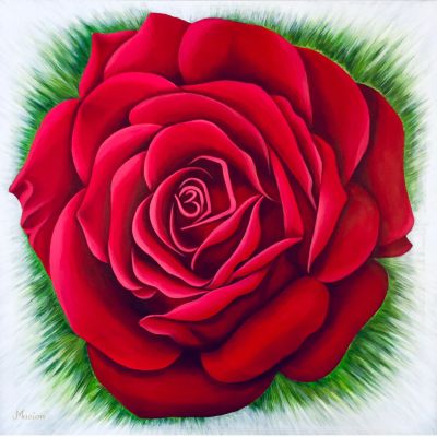 الورده الحمراء