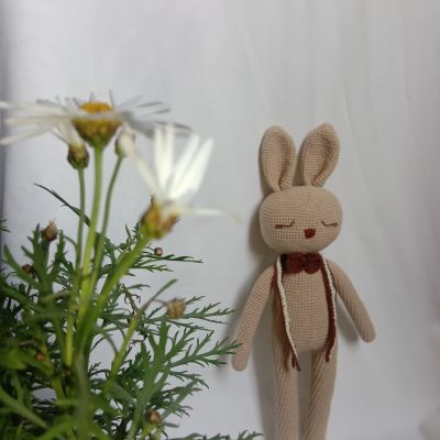 أرنب أميجرومي